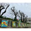 幼稚園、保育園