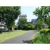 公園