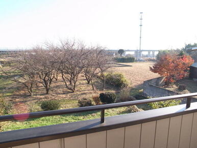 前回募集時の参考写真