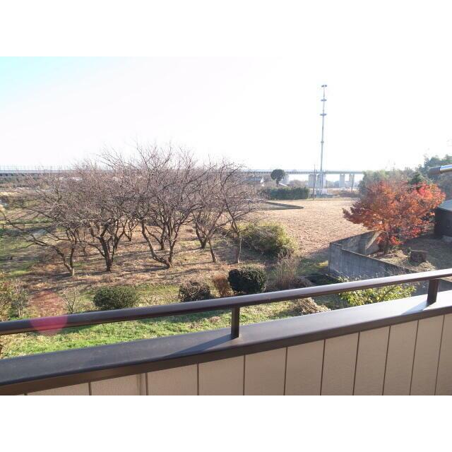 前回募集時の参考写真