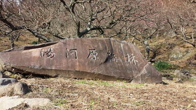 湯河原温泉　梅の宴