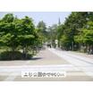 公園