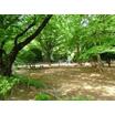 公園