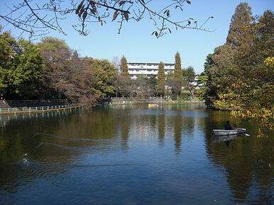 武蔵関公園