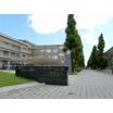 大学