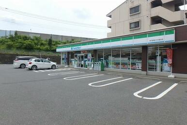 ファミリーマート 坂戸駅南けやき通り店
