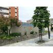 幼稚園、保育園