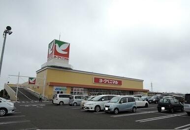 ヨークベニマル遠見塚店