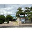 幼稚園、保育園