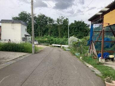 南東向き道路（西より撮影）