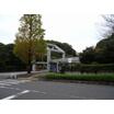 大学