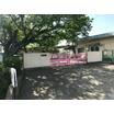 幼稚園、保育園