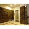 共有部分