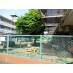 幼稚園、保育園