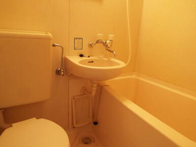 バスルームに洗面ボールがついてます♪