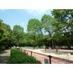 公園