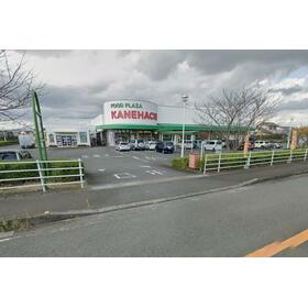 周辺環境