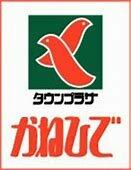 タウンプラザかねひで 古島店