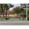 公園