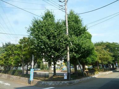 みずほ台中央公園
