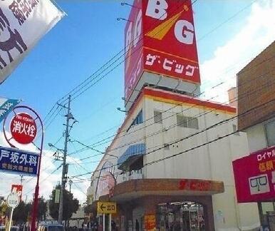ザ・ビッグ 戸坂店