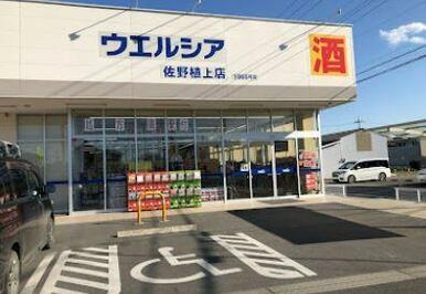 ウエルシア佐野植上店
