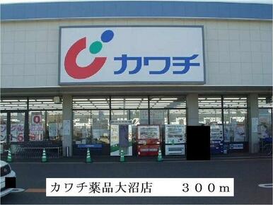 カワチ薬品大沼店