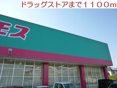 コスモス
