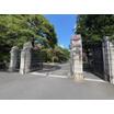 大学