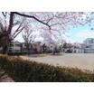 公園