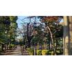 公園