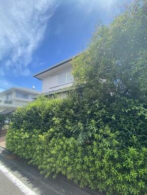 現地写真（現況、古家が建っています）