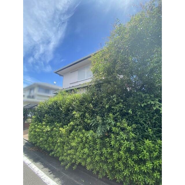 現地写真（現況、古家が建っています）