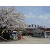幼稚園、保育園