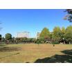 公園