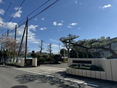 柏原中学校