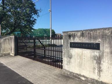 柏原小学校
