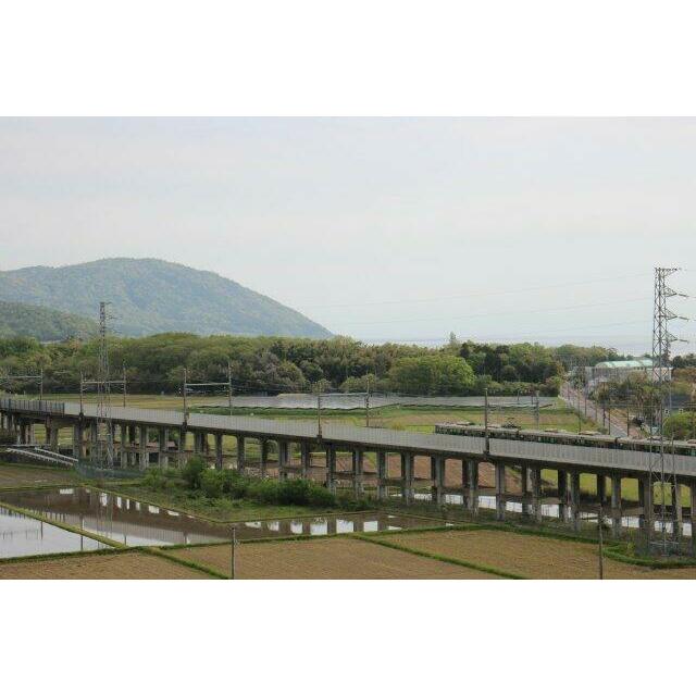 通路側の眺望
