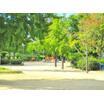 公園