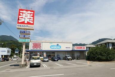 ウエルシア（静岡あさはた店）