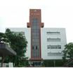 大学