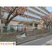幼稚園、保育園