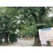 公園
