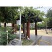 公園