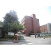 大学