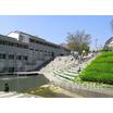 大学