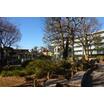 公園