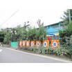 幼稚園、保育園