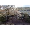 小学校