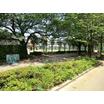 公園